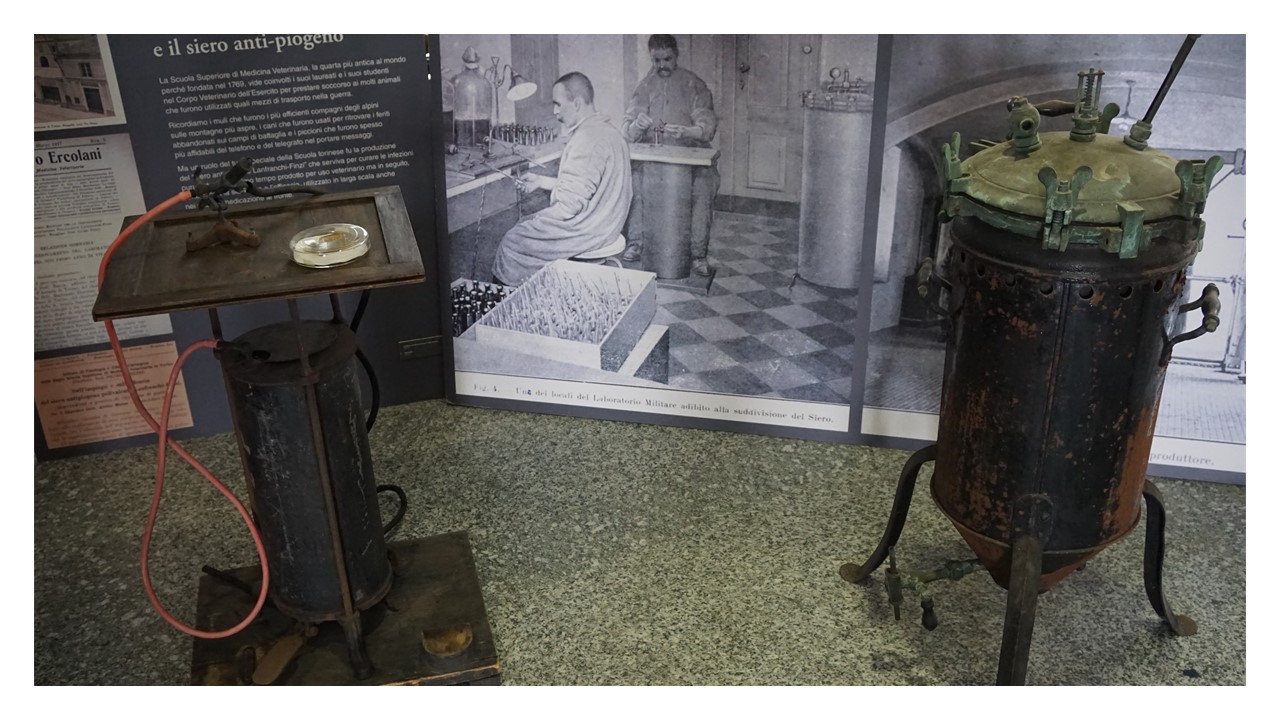 produzione-siero-antipiogeno-1